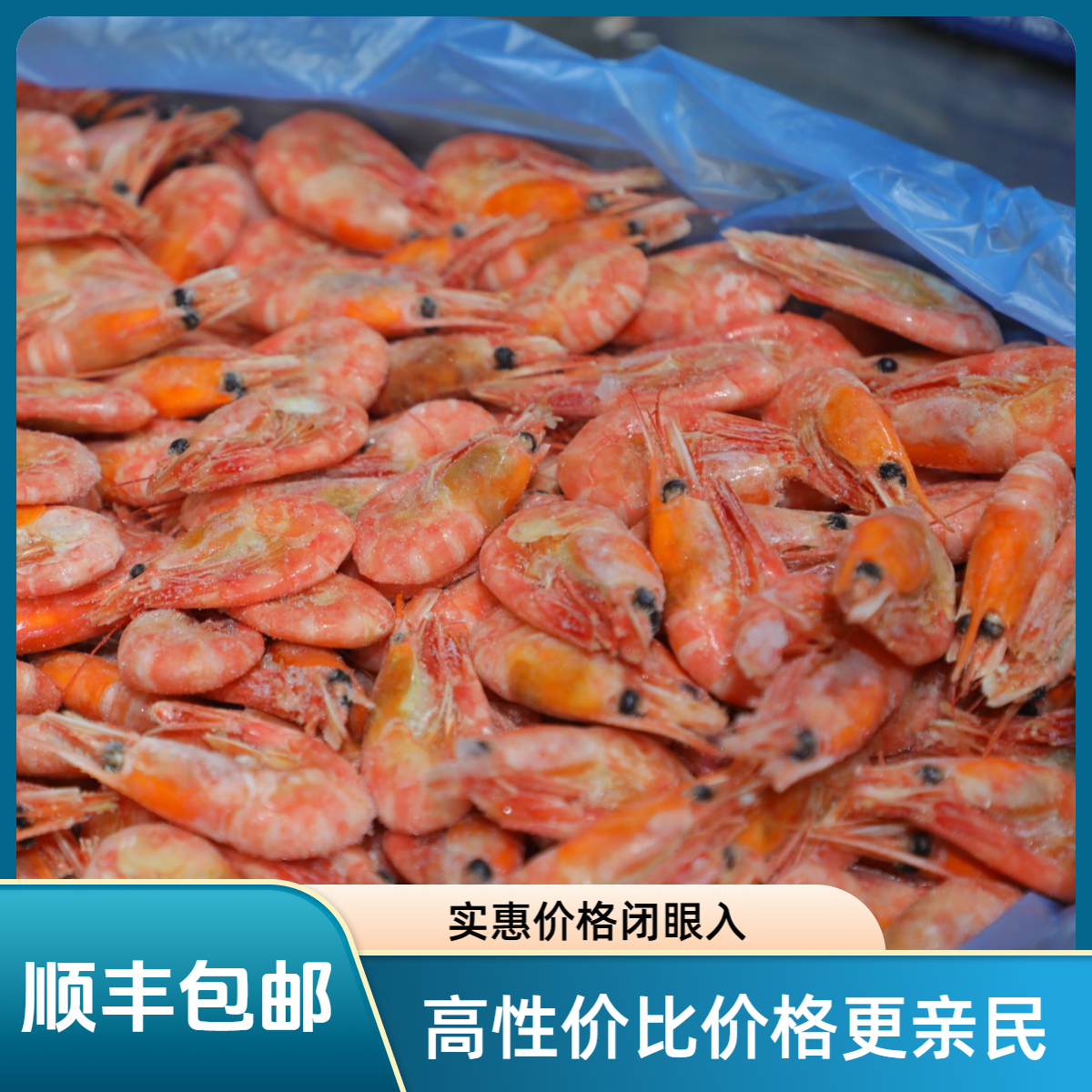【顺丰包邮】头籽北极虾90-120+规格2025新货！礼盒三斤