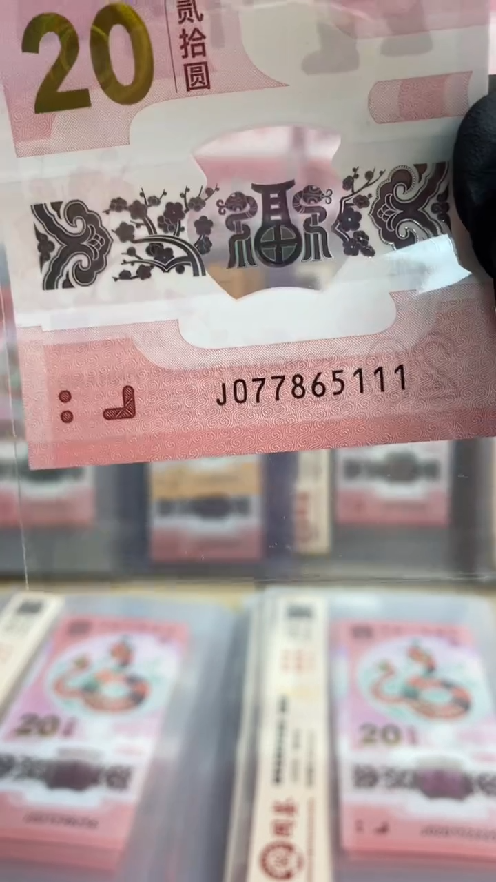 【闪购商品】塑料蛇钞 真钞【单张】5111