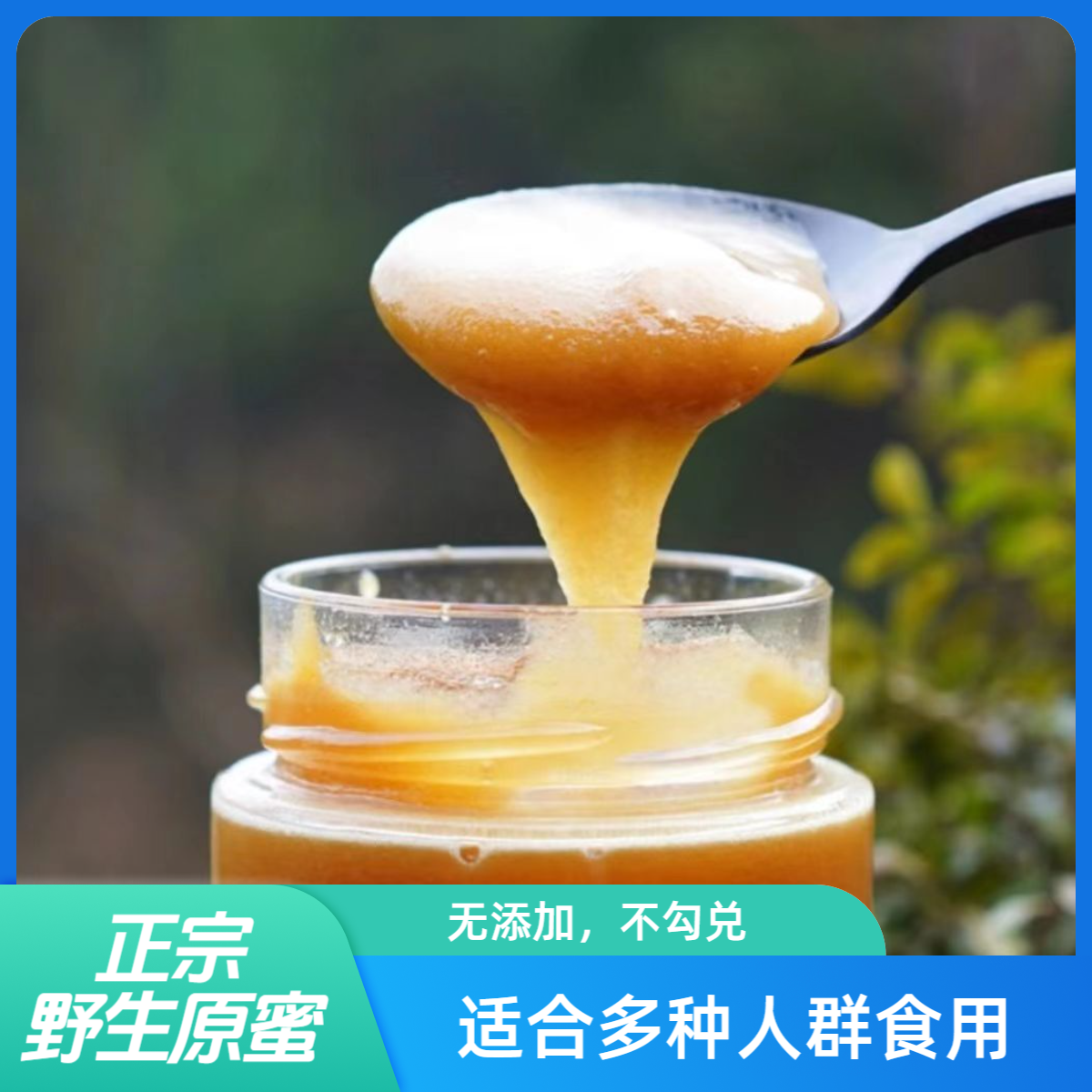 【艳红夫妻土蜂蜜密】深山散养密