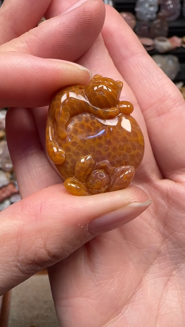 颈饰未镶嵌硅化珊瑚（珊瑚玉）392