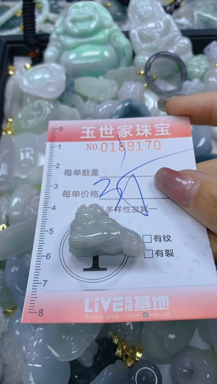 【闪购商品】翡翠颈饰未镶嵌闪购0189170