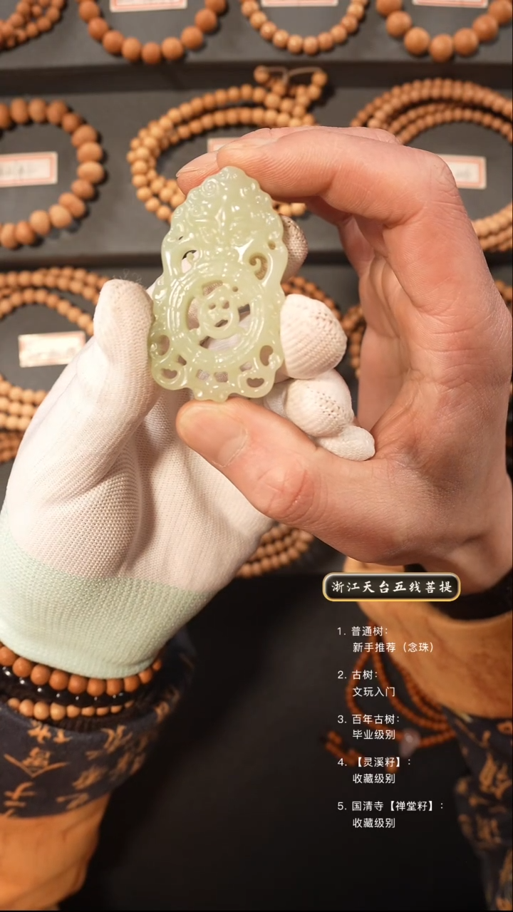 【闪购商品】五线菩提吊坠手串