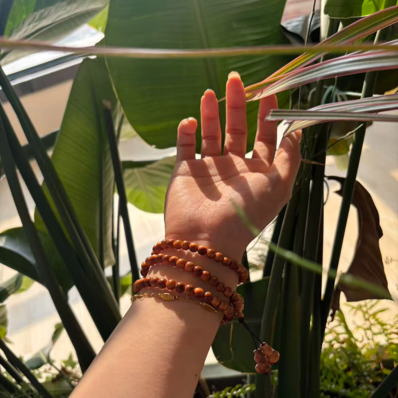 国风手串女新中式崖柏木质手串