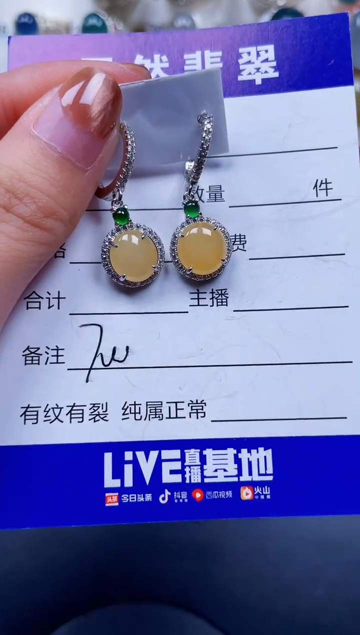 银S925镶嵌翡翠耳饰700