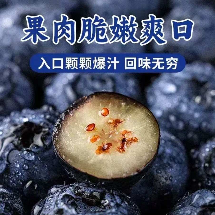  【新疆包邮】云南脆甜新鲜蓝莓当季新鲜水果18+云南省云南省