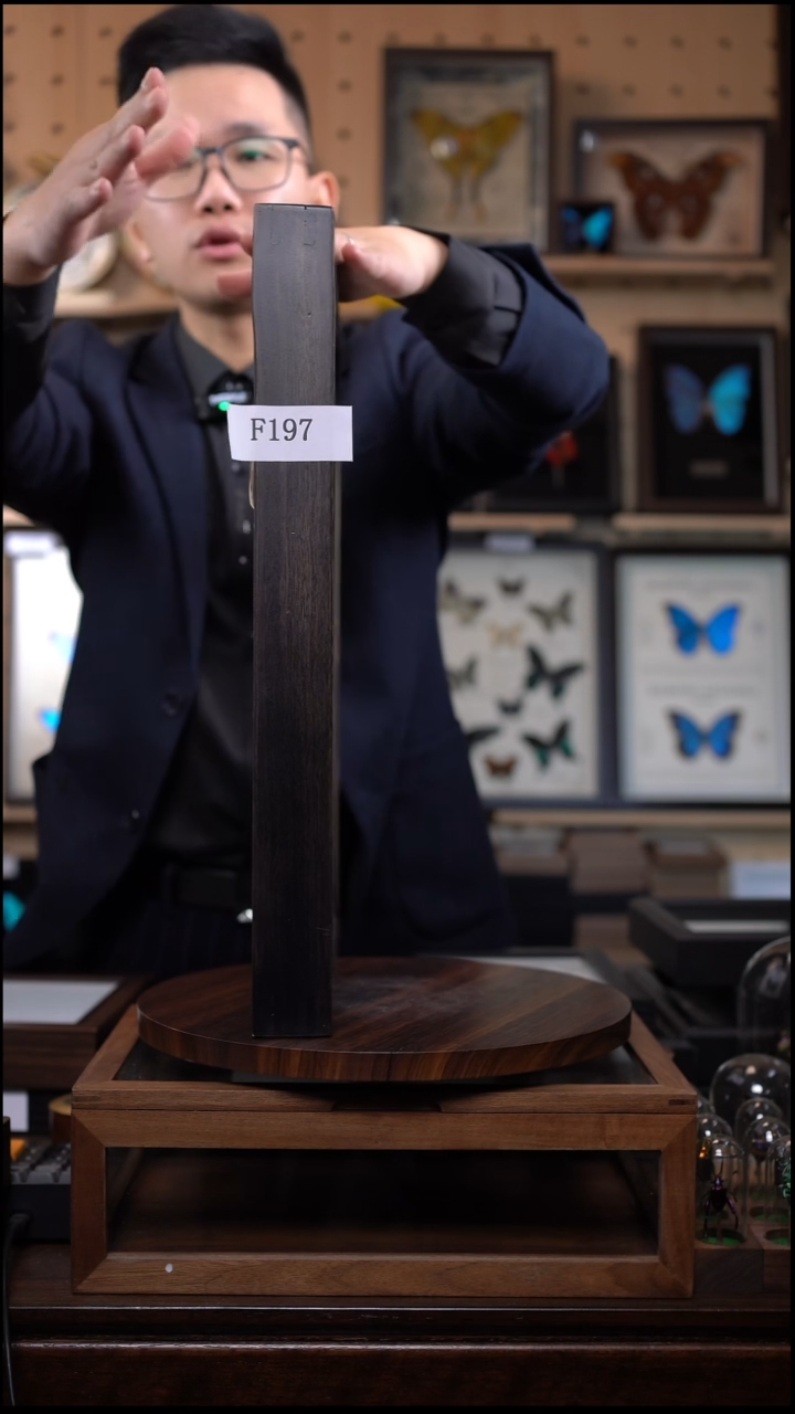 苏*凤蝶组合A3香樟木F197