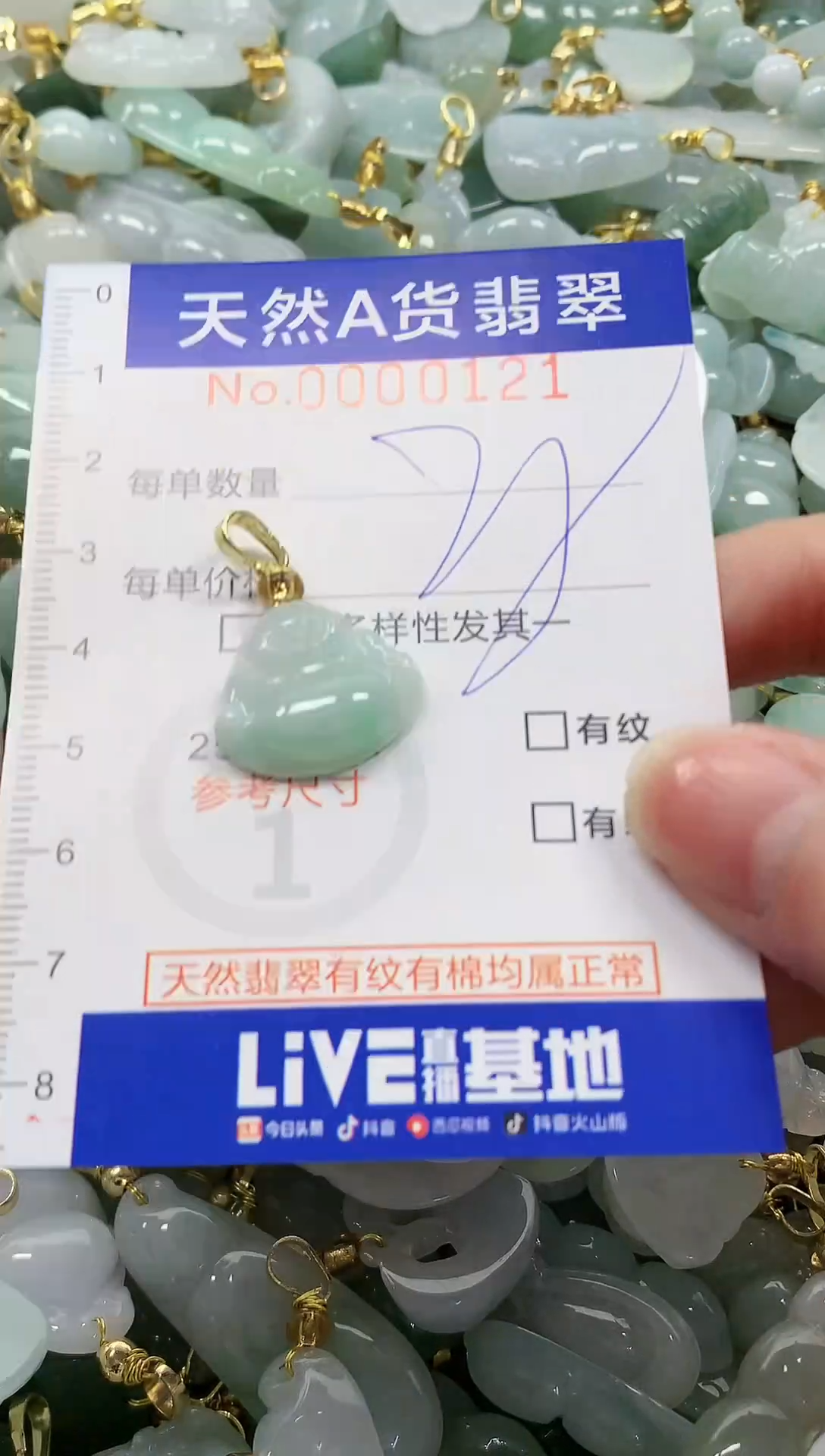 颈饰未镶嵌翡翠纯天然a货翡翠
