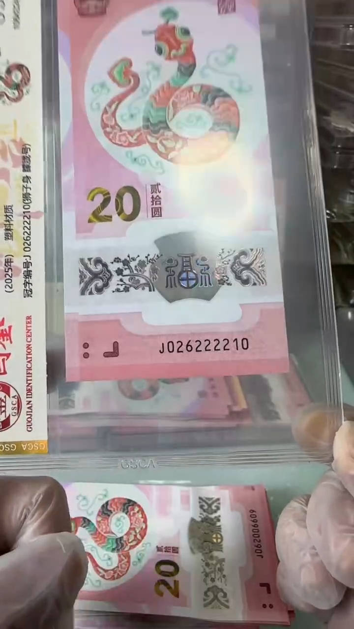 【闪购商品】塑料026222210蛇钞单张