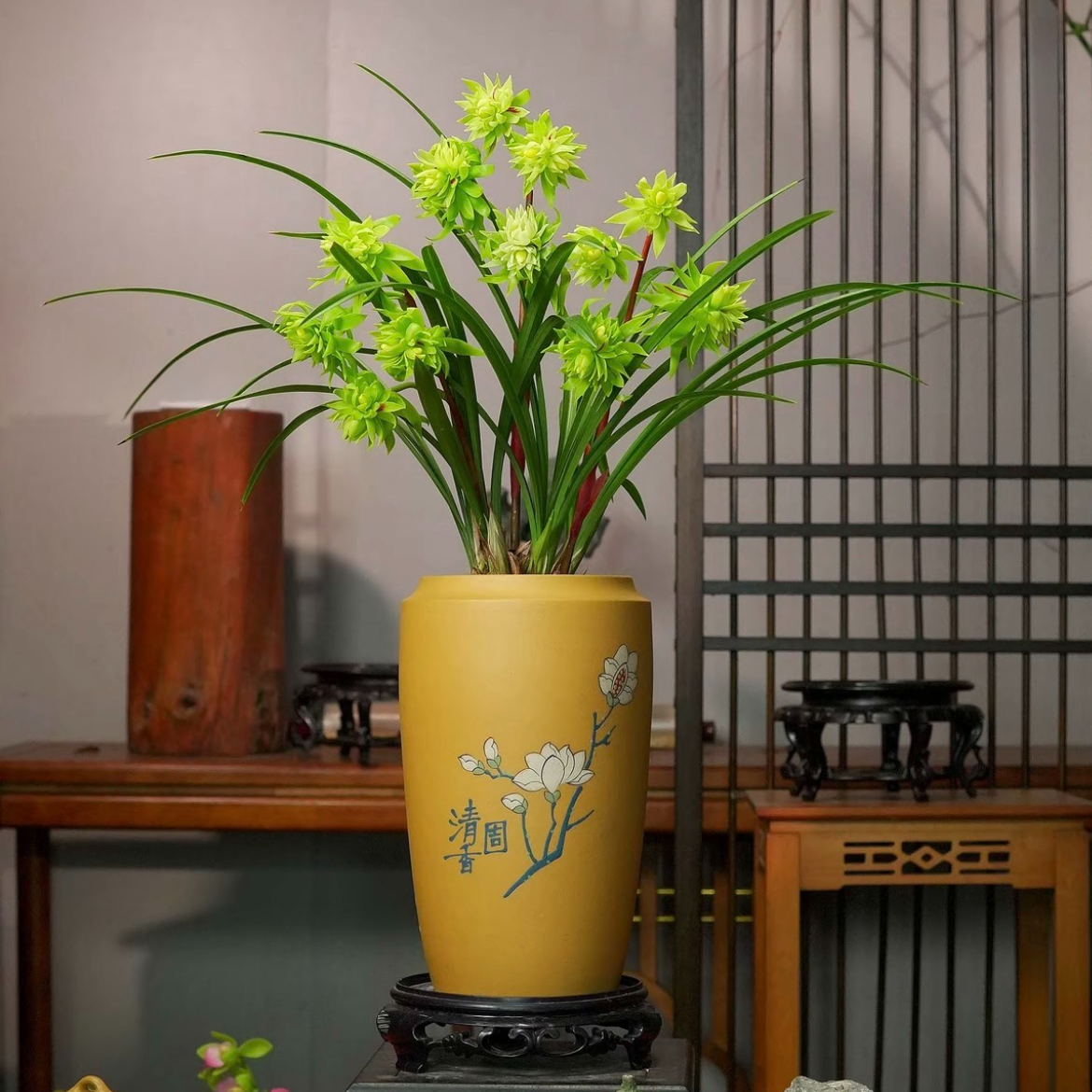 春兰 复瓣奇花 [翠影蝶梦] 浓香型兰花 室内客厅好养绿植 带盆