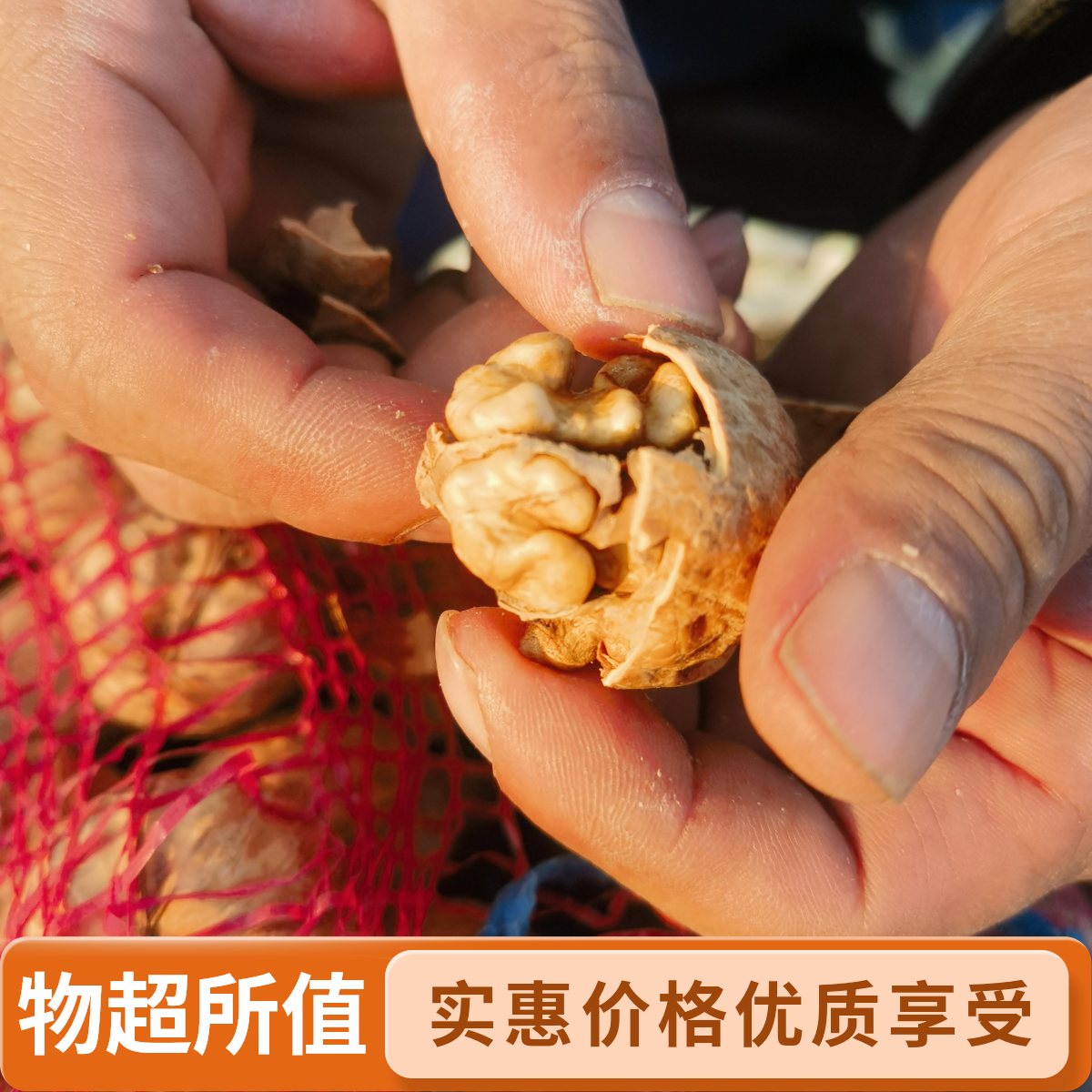 新疆阿克苏185纸皮核桃薄皮核桃