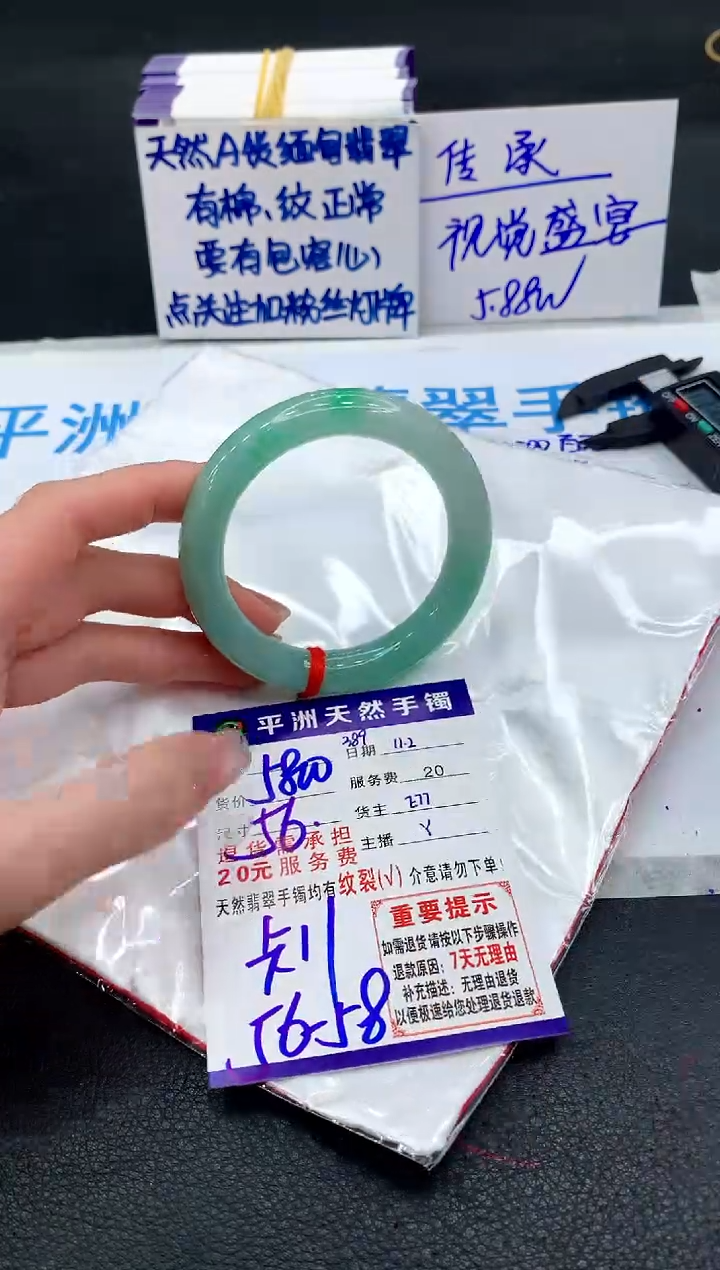 未镶嵌手镯翡翠1111111111