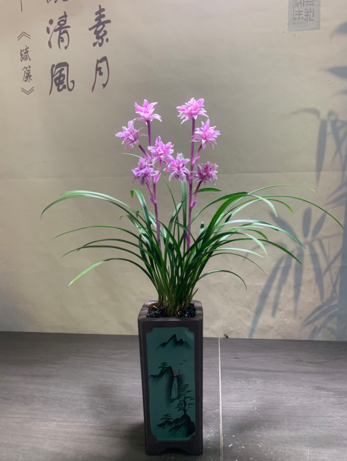 【清风专属】春兰 紫霞仙子 浓香型 好养易活兰花
