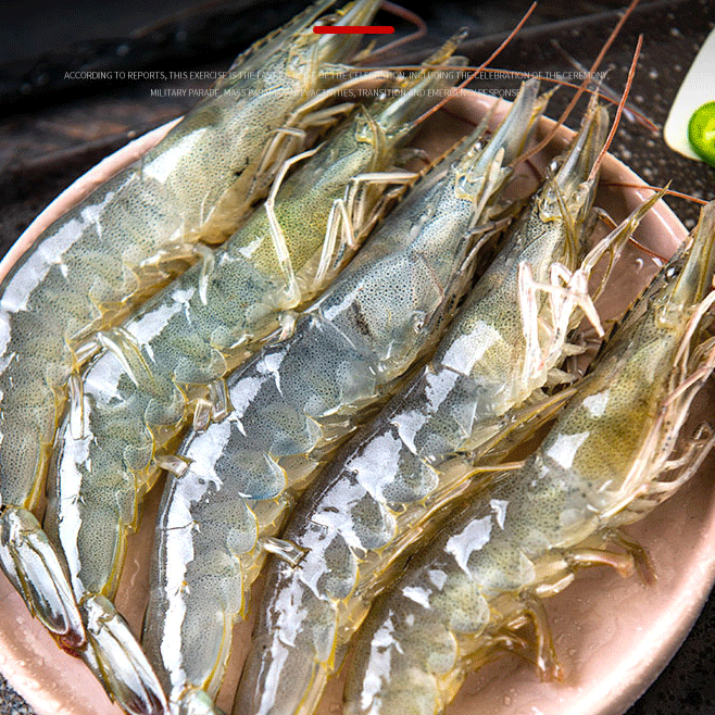 【大姐专属】活虾速冻2030特大号海虾到手4大斤，顺丰包邮发货