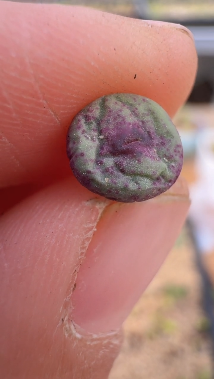 【闪购商品】9--48`