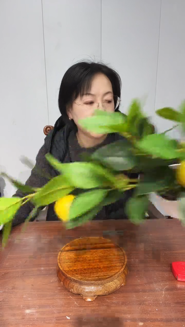 木老花圆形14.5*17.5*5 