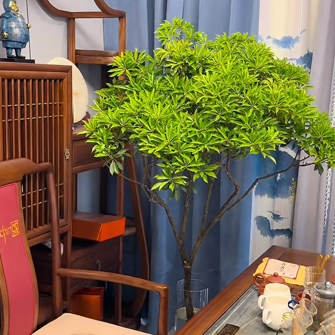 【国产马醉木】水培植物室内绿植鲜切枝条盆栽平替吊钟客厅水养绿植