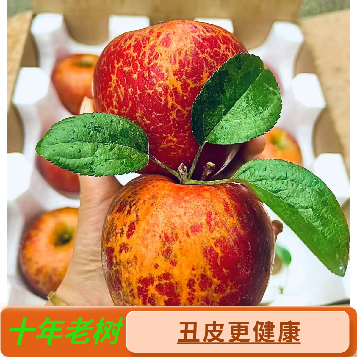 正宗云南昭通冰糖心丑苹果新鲜现摘网红小苹果脆甜多汁甜蜜非凉山