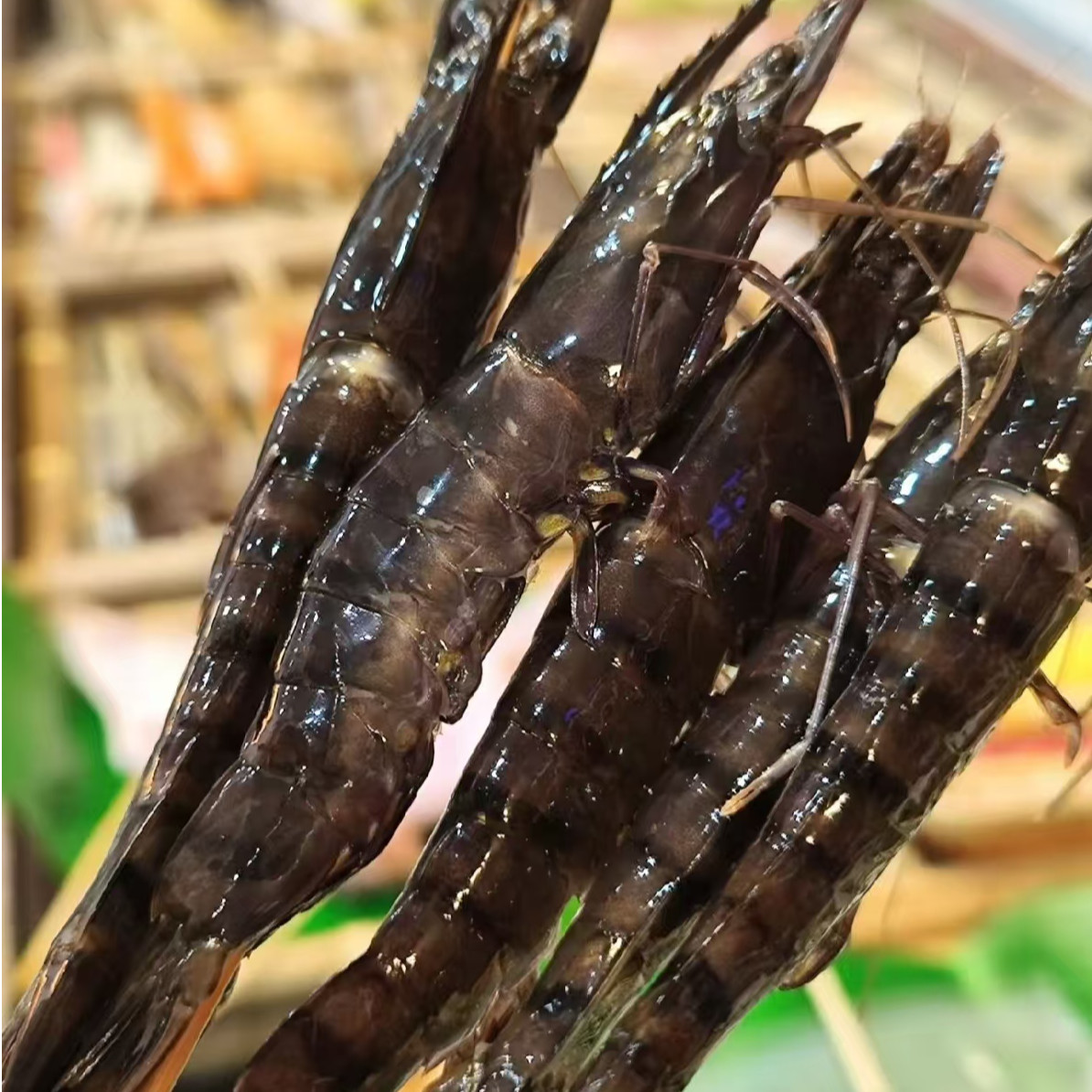 【昆明小时达】鲜活 竹节虾1公斤/1 份  打氧气配送途中有个别缺氧死亡 介意慎拍鑫宏旺海鲜总汇