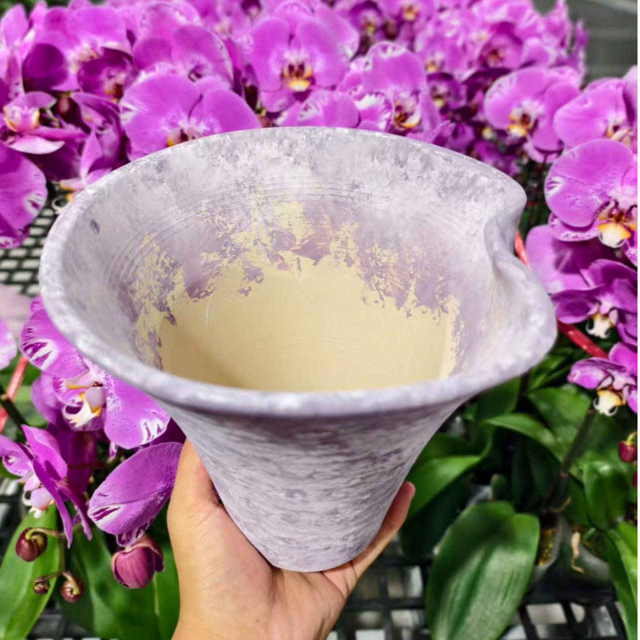 繁星里高档陶瓷盆（景德镇）