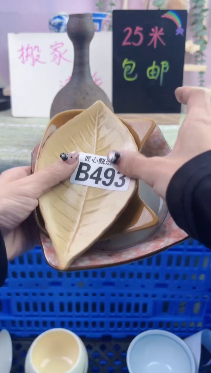 瓷片炸**耶      B493