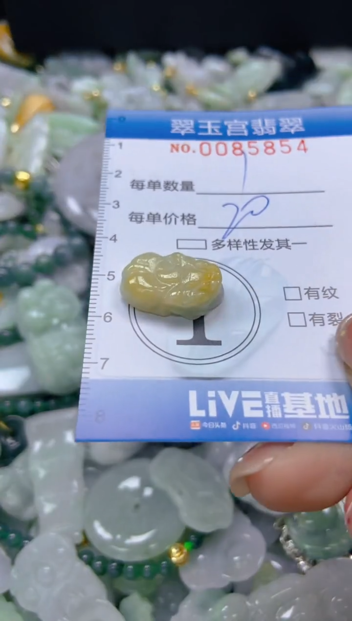 【闪购商品】翡翠颈饰未镶嵌闪购0085854