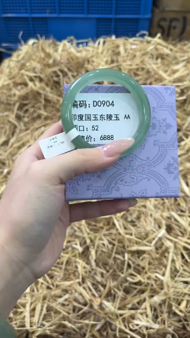 未镶嵌手镯石英质玉D0904