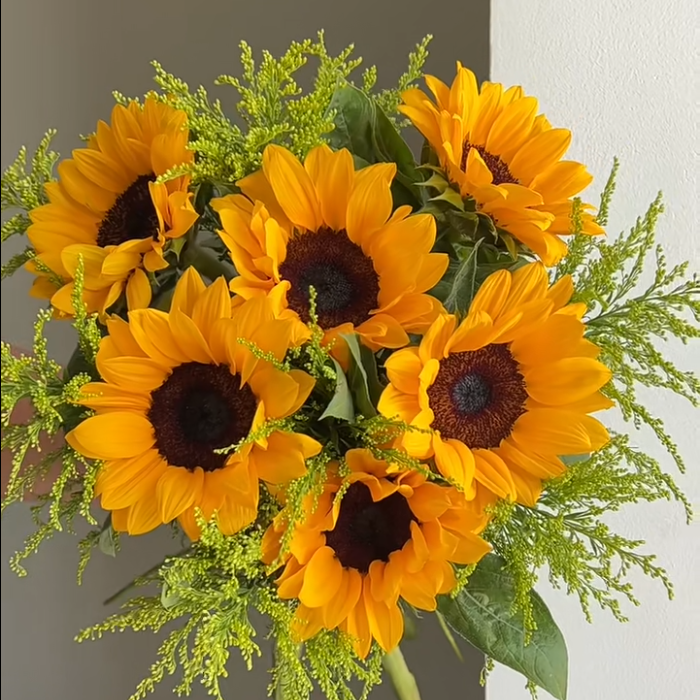 向日葵6支+登高草1扎+包装纸2张 向日葵是生花苞发货，需要养开