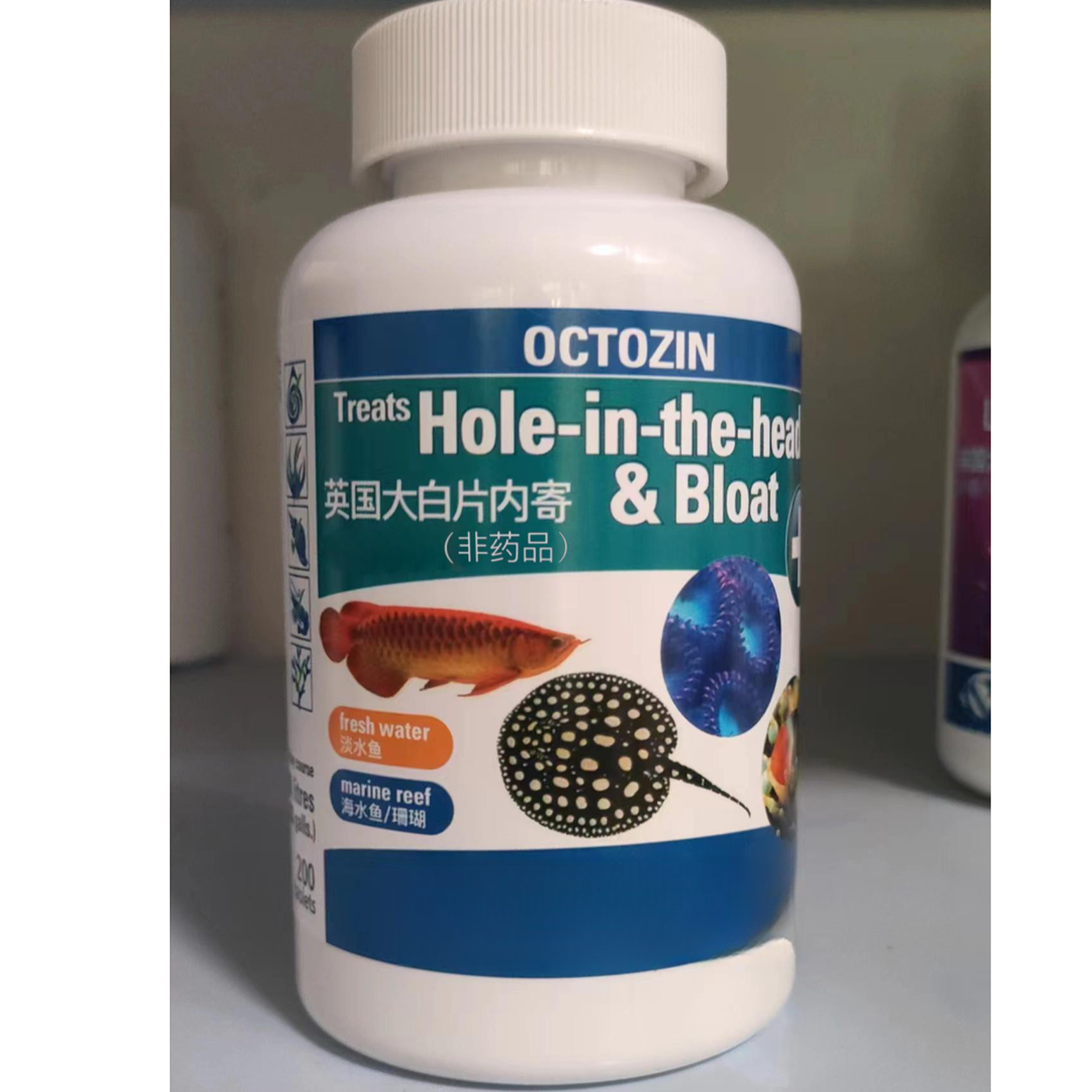 英国正品大白片金龙鱼魟热带锦鲤内寄外寄调理