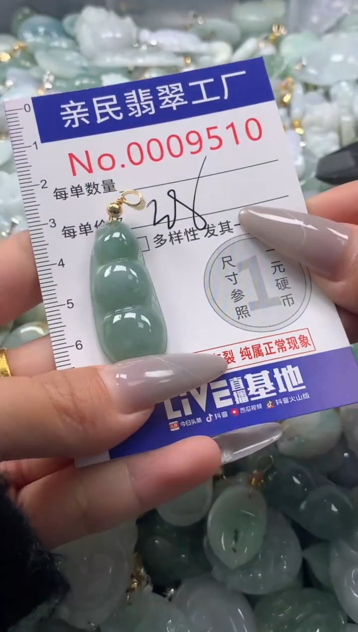 颈饰未镶嵌翡翠9510