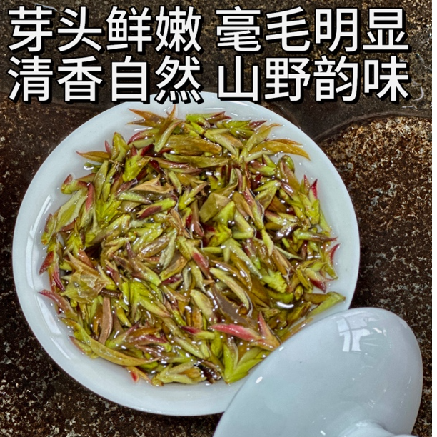 2025年早春茶云南临沧邦东大雪山野生紫芽白茶花青素丰富