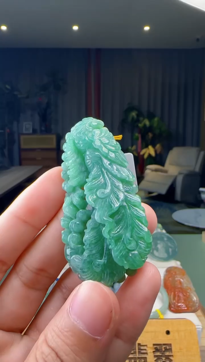【闪购商品】翡翠未镶嵌颈饰XM@@960Q3J15510