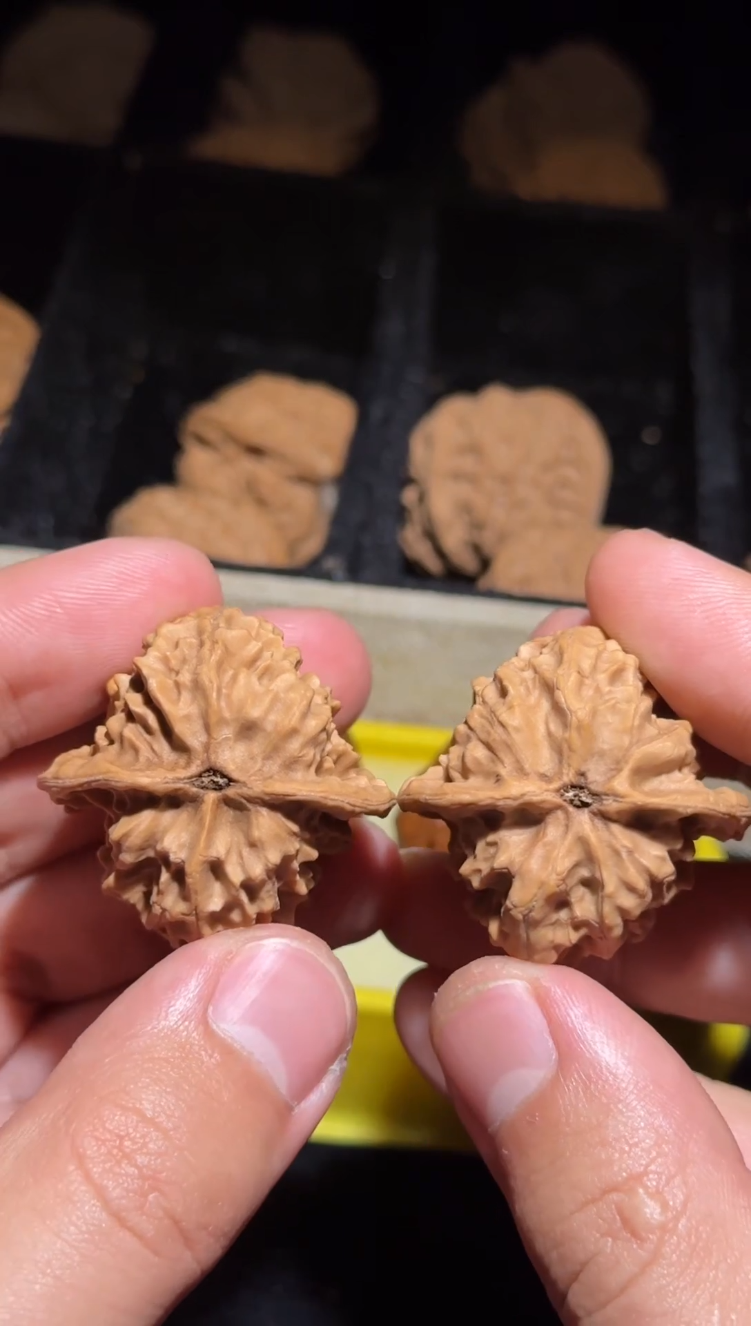 吊坠文玩核桃玲珑37尺