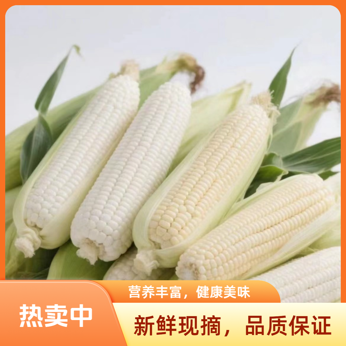 白糯玉米5斤装顺丰包邮新鲜江苏省