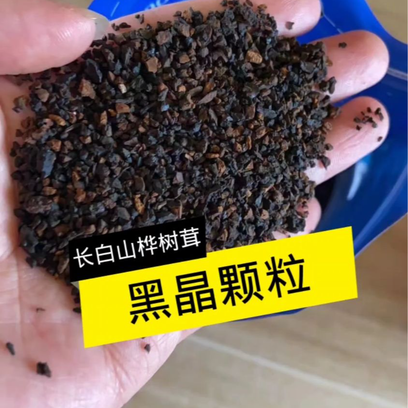 长白山桦树茸黑晶煮水