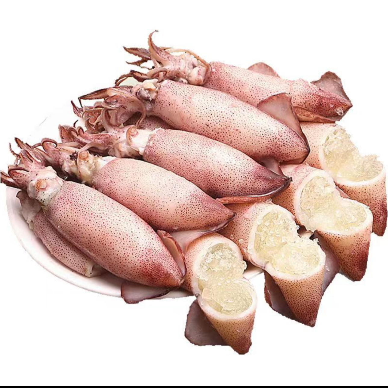 精选带籽海兔鱿鱼带籽笔管小鱿鱼水产到手三斤保鲜保肥