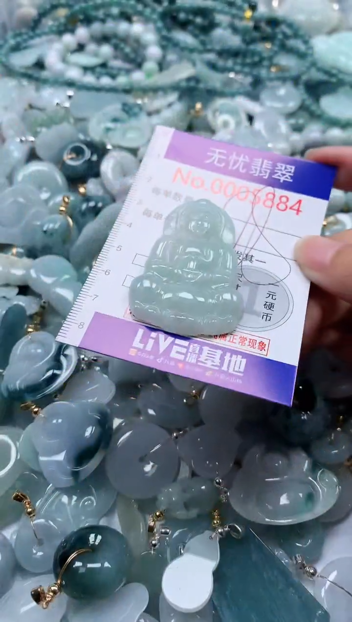 翡翠未镶嵌吊坠(不含链)5884