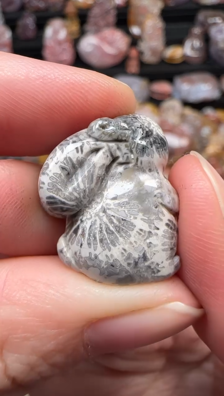 颈饰未镶嵌硅化珊瑚（珊瑚玉）393