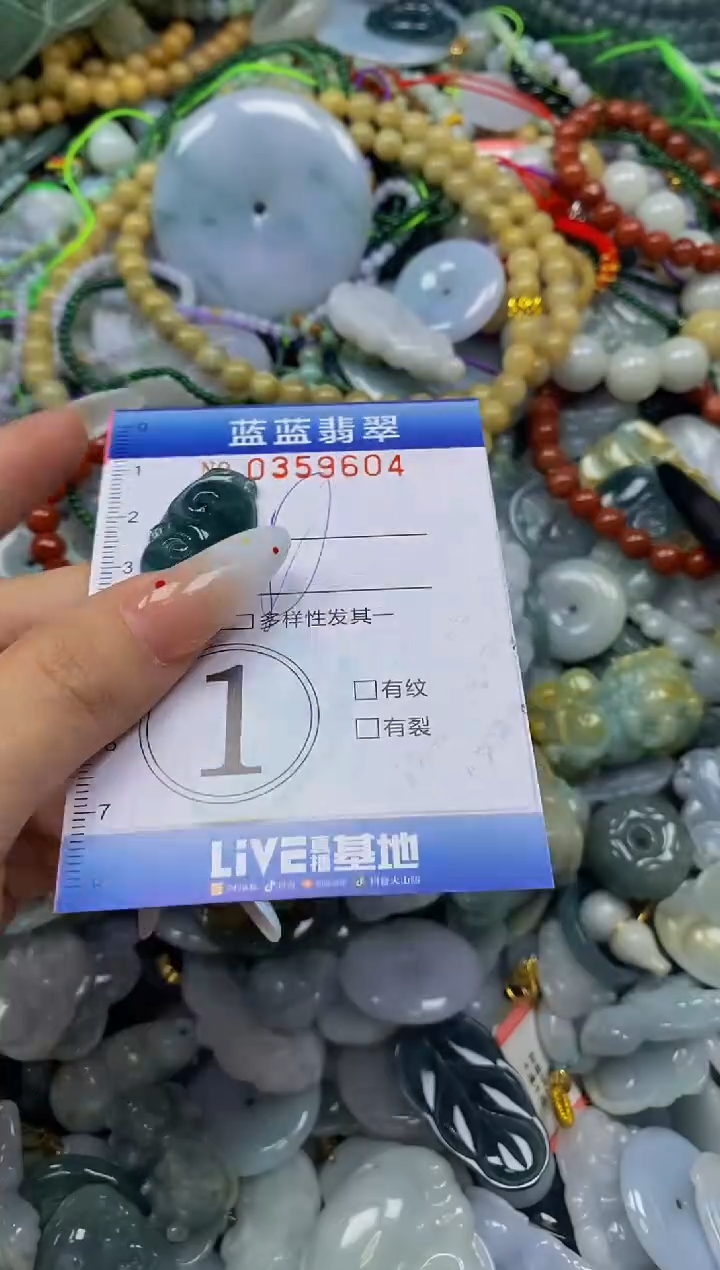 颈饰未镶嵌翡翠闪购0359604