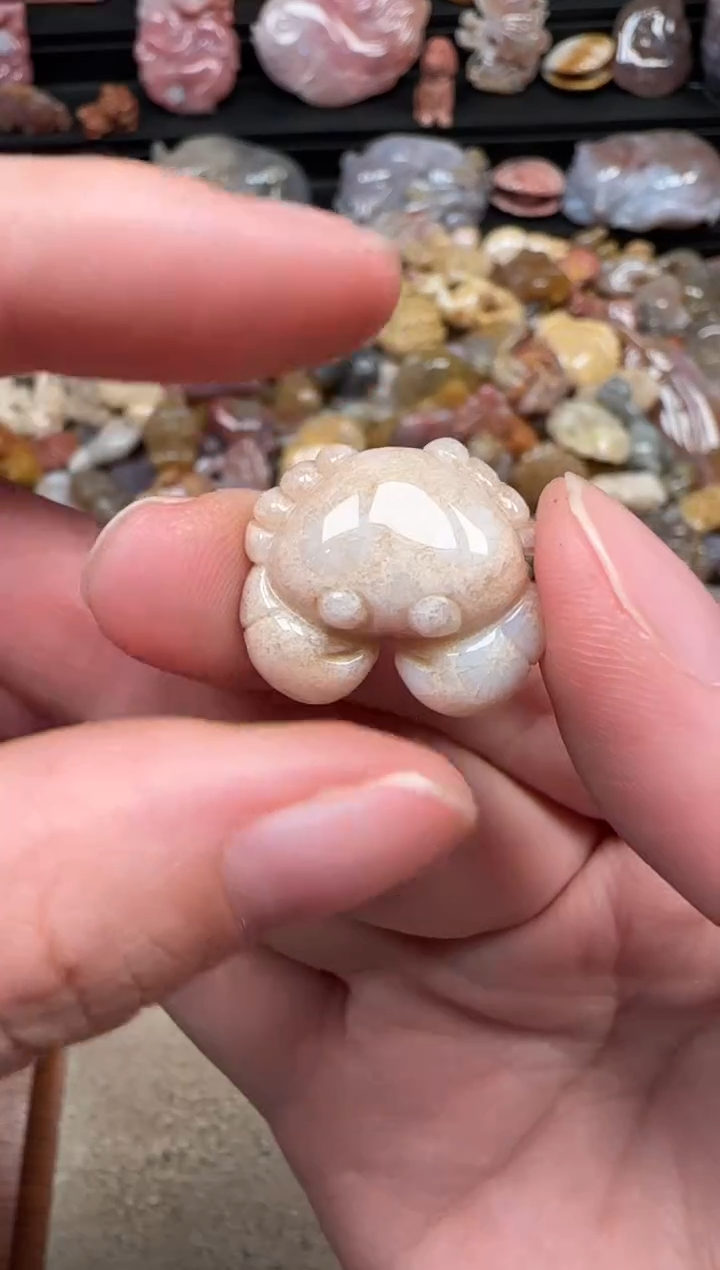 颈饰未镶嵌硅化珊瑚（珊瑚玉）582