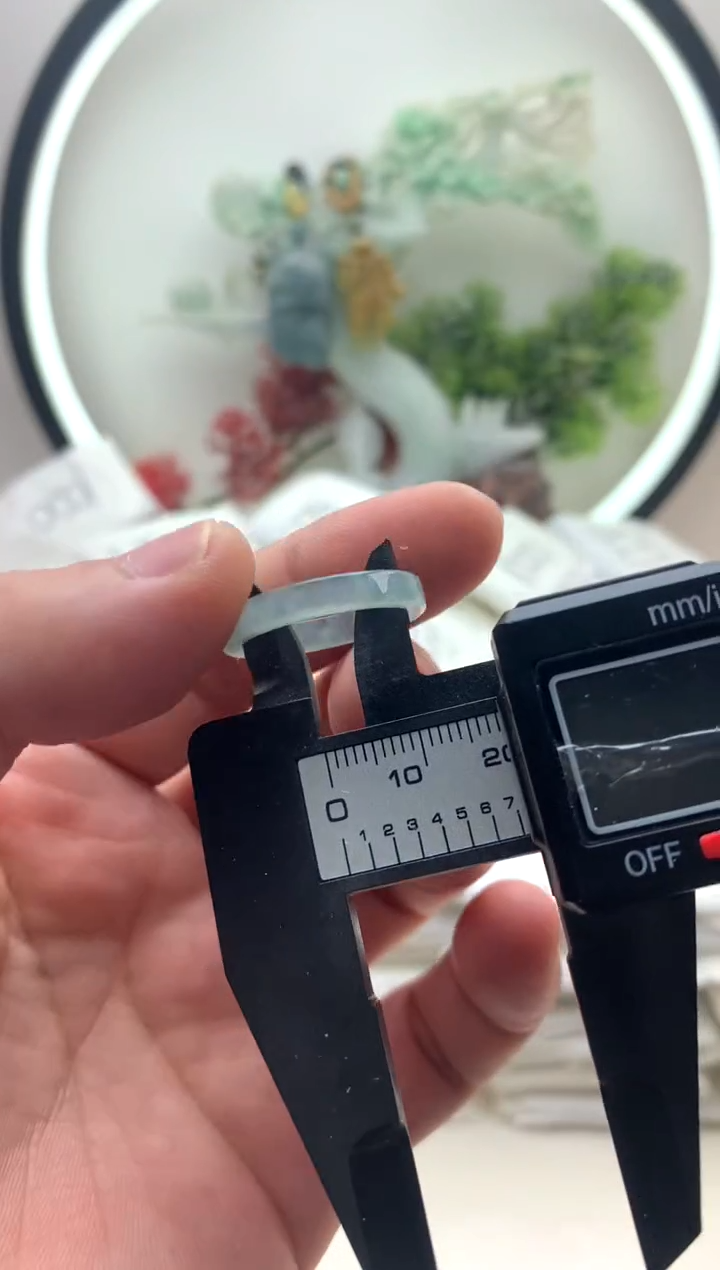 颈饰未镶嵌翡翠戒圈