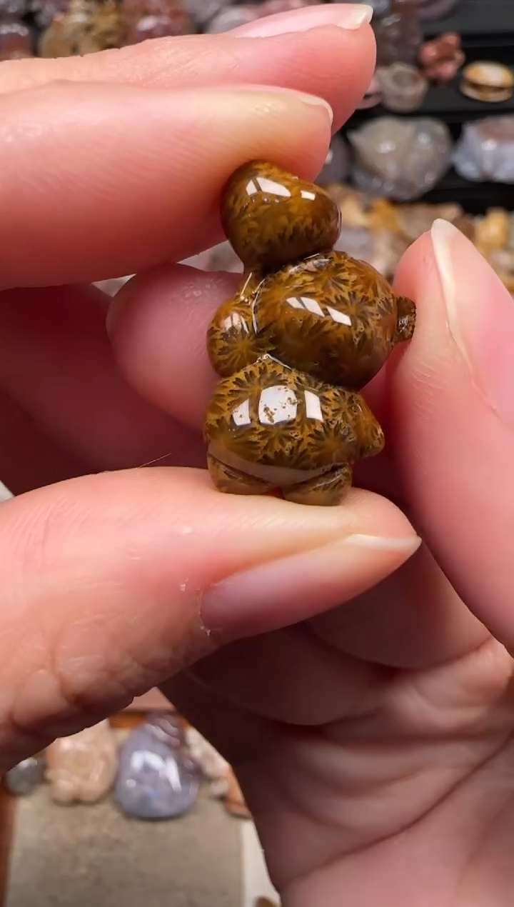 颈饰未镶嵌硅化珊瑚（珊瑚玉）364
