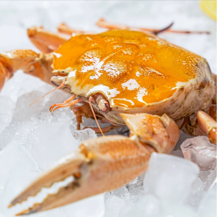 黄金雪蟹 顺丰冷链压冰发货 【部分缺腿 介意勿拍】