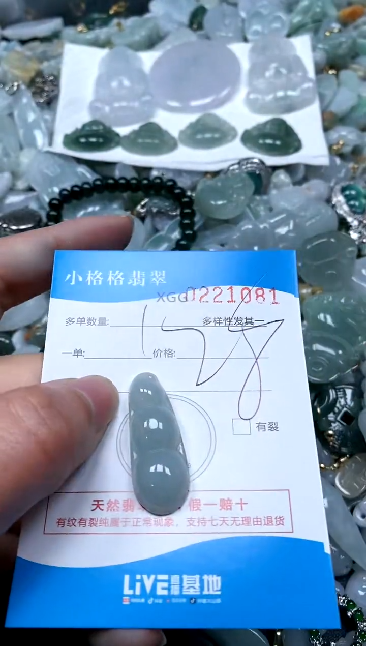 【闪购商品】翡翠颈饰未镶嵌闪购商品0221081