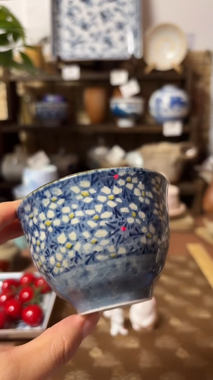【闪购商品】瓷片喵喵家都是大漂亮