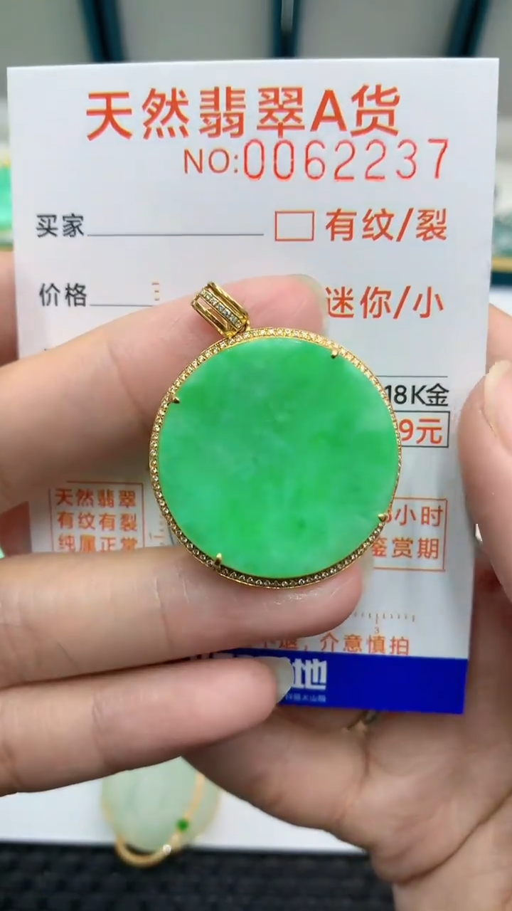 【闪购商品】翡翠颈饰18K金镶嵌            8