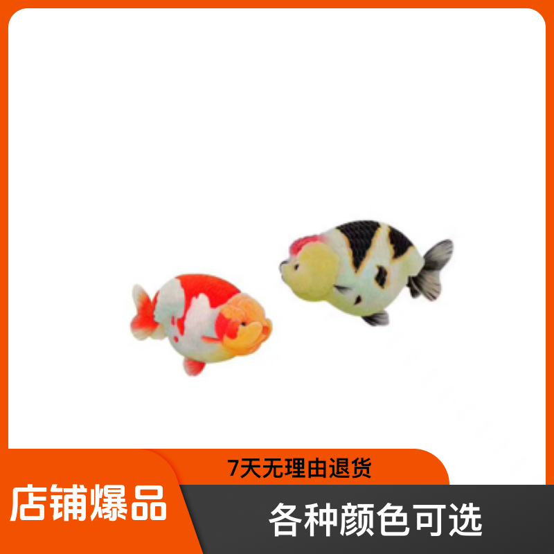 直播间链接兰寿金鱼活体 一物一拍 以实物为准
