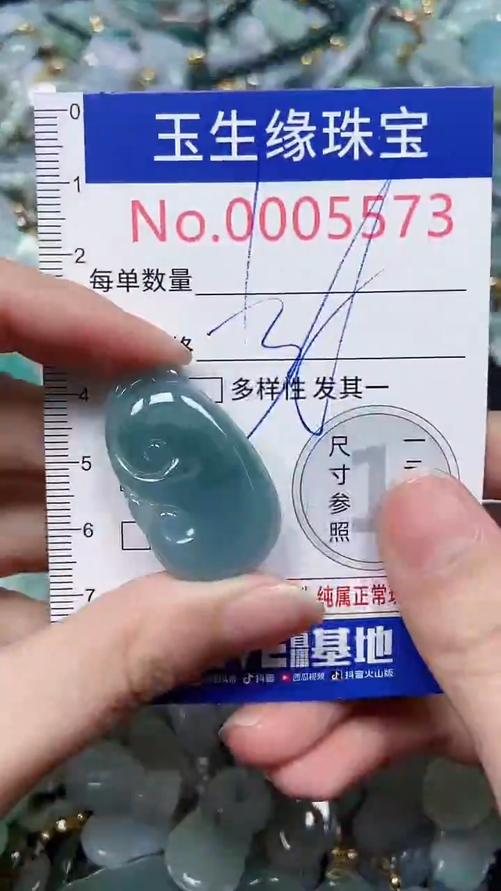 【闪购商品】翡翠颈饰未镶嵌闪购5573