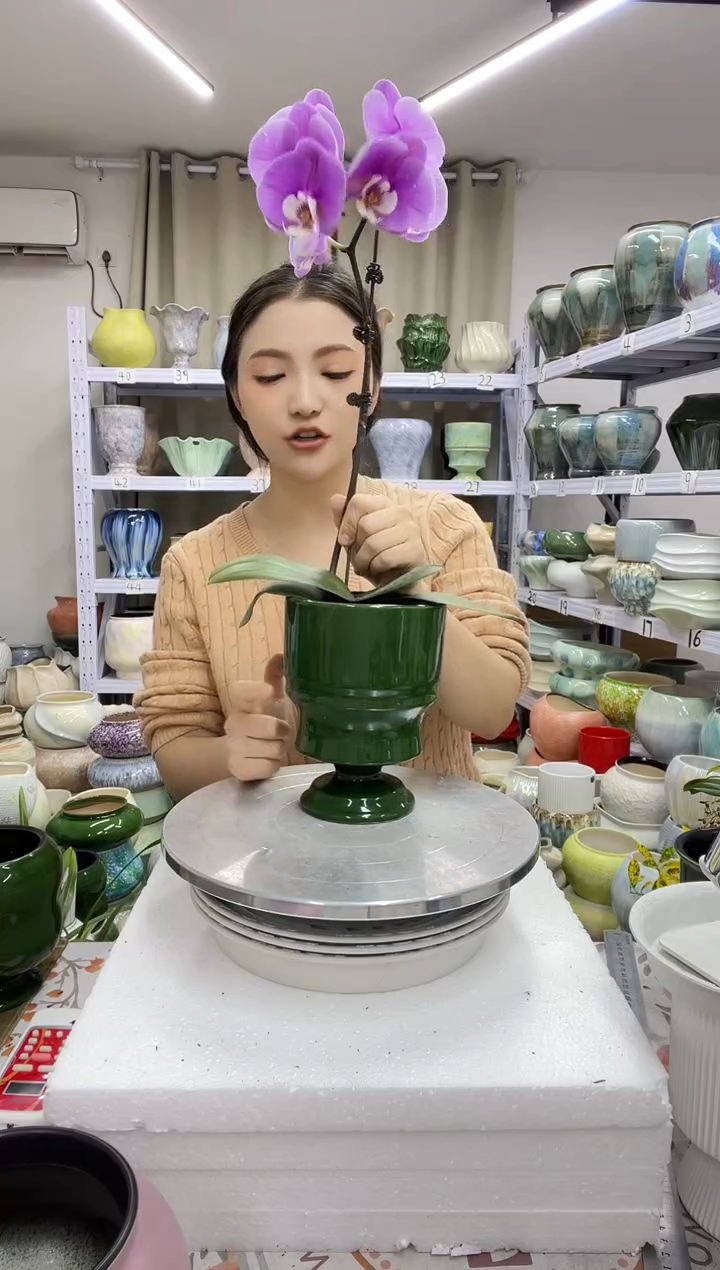 12.30陶瓷花盆直播链接高.  17    口12