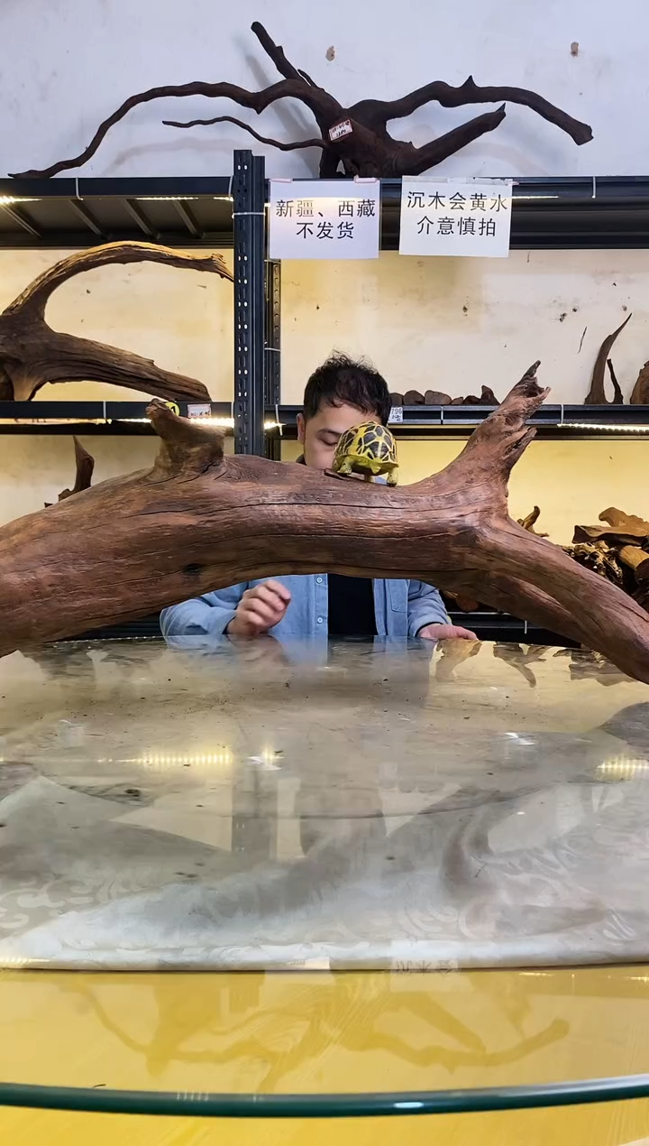 【闪购商品】柚木木艺紫柚木秒沉木917