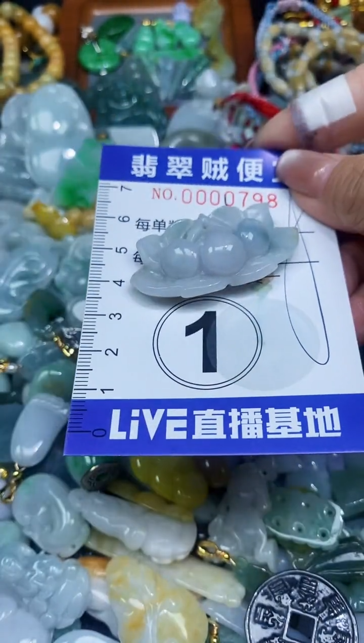 【闪购商品】翡翠颈饰未镶嵌闪购0000798